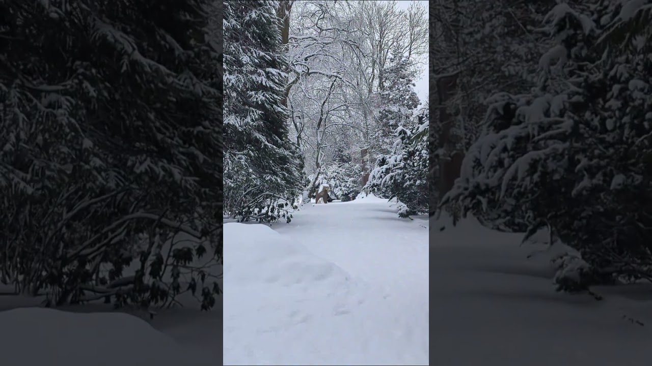 Quiet Winter Walk | Kalmar