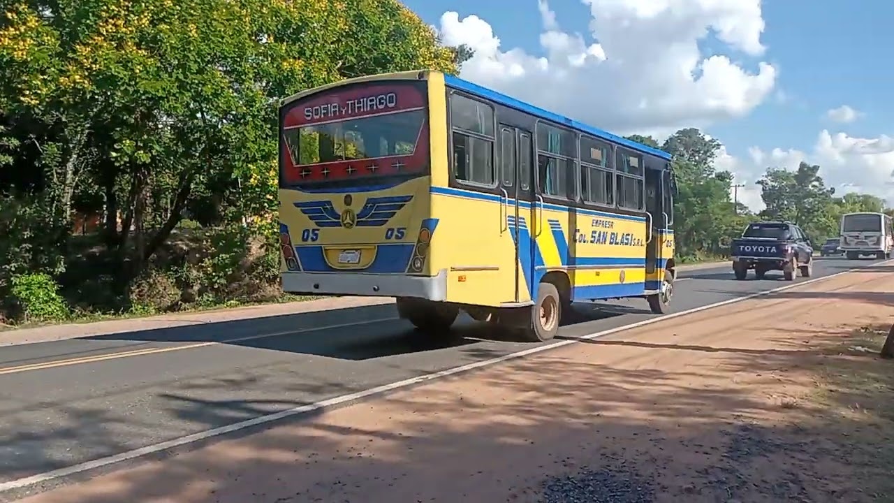 Buses Internos de la Ciudad de Limpio (1/2)
