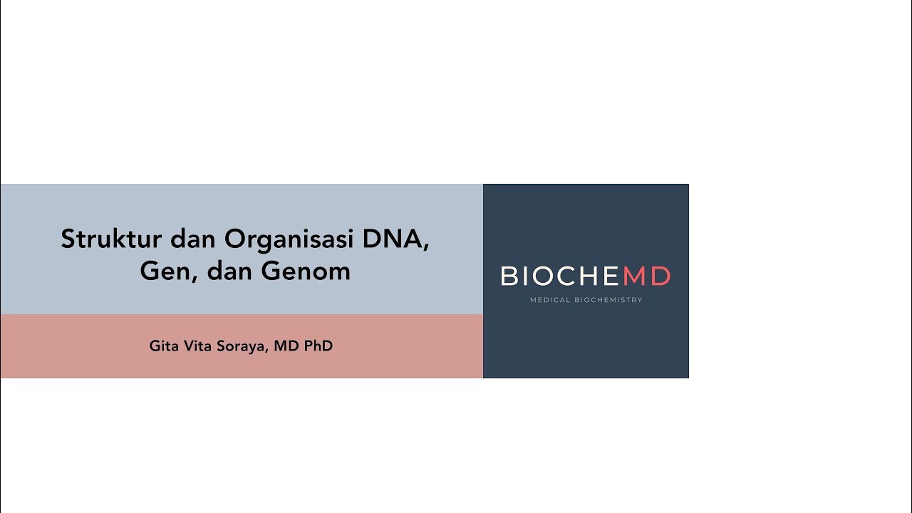 Struktur dan Organisasi DNA Gen dan Genom [Bahasa]