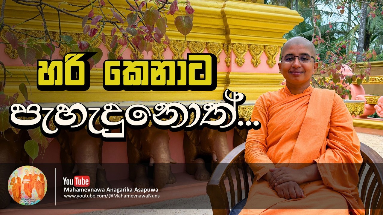 හරි කෙනාට පැහැදුනොත්...