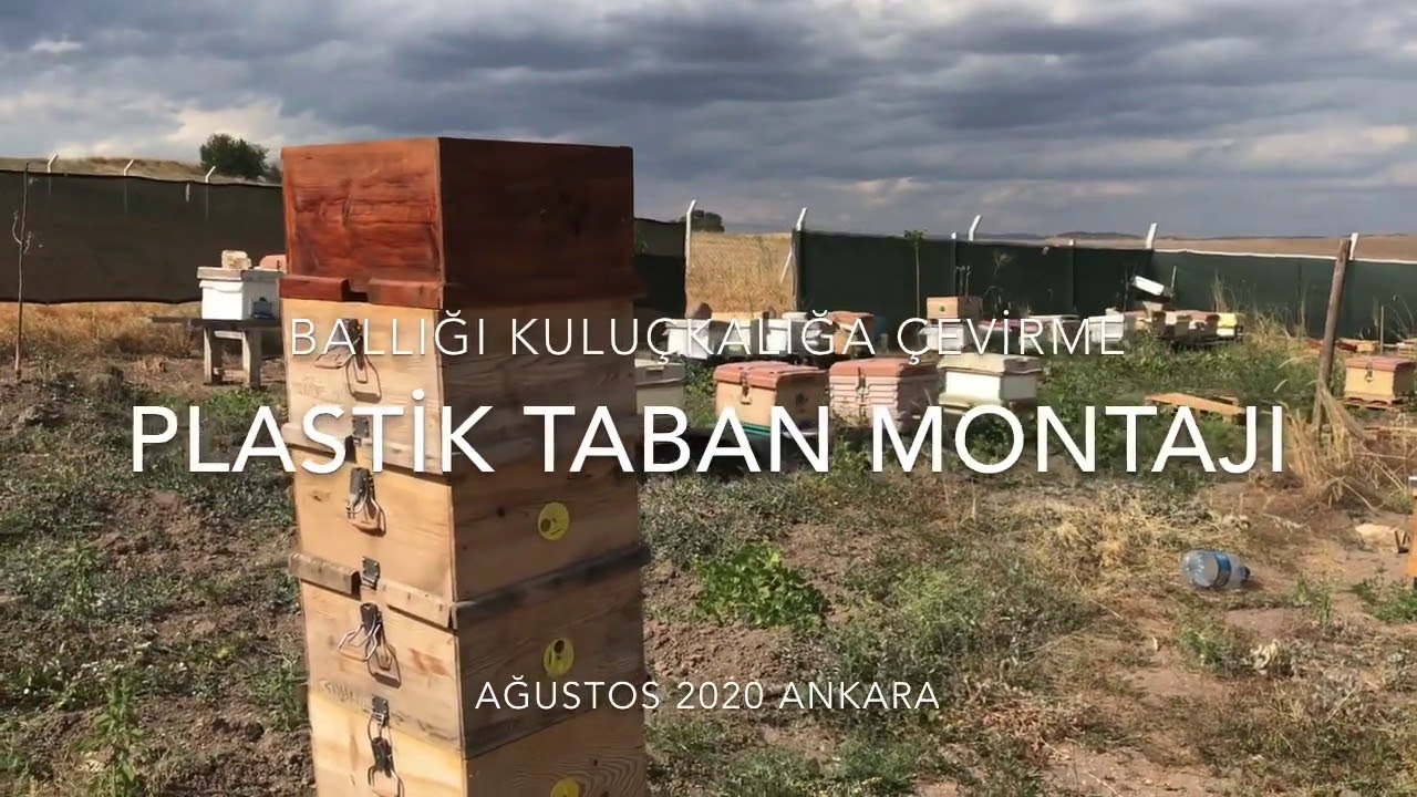 Plastik Taban Montajı  Ballığı Kuluçkalığa Çevirme