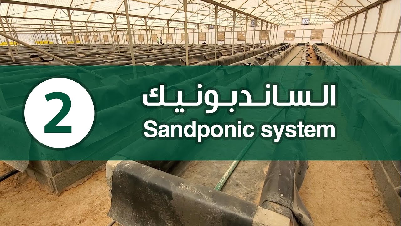 نظام الزراعة بالساندبونيك Sandponic system | فيديو 2-2