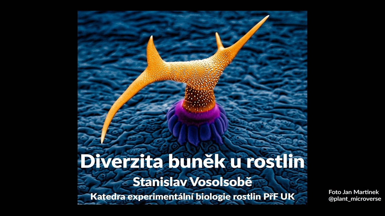 Pokroky v biologii 2026 (4.1) Stanislav Vosolsobě: Diverzita pletiv a buněk u... (PřF UK 21.2.2026)