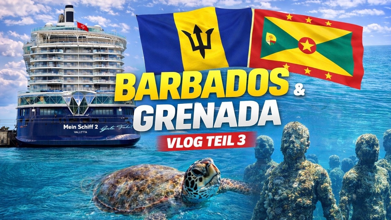 Schildkröten & Traumstrände 🐢🏝️ | VLOG 3 | Mein Schiff 2 | Barbados & Grenada