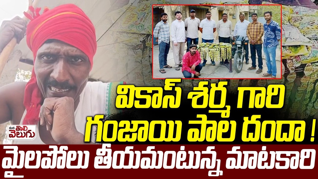 వికాస్ శర్మ గారి తండాయి పాల దందా | Vikas Sharma Selling Thandai milk With G@-n-ja | Begum Bazar