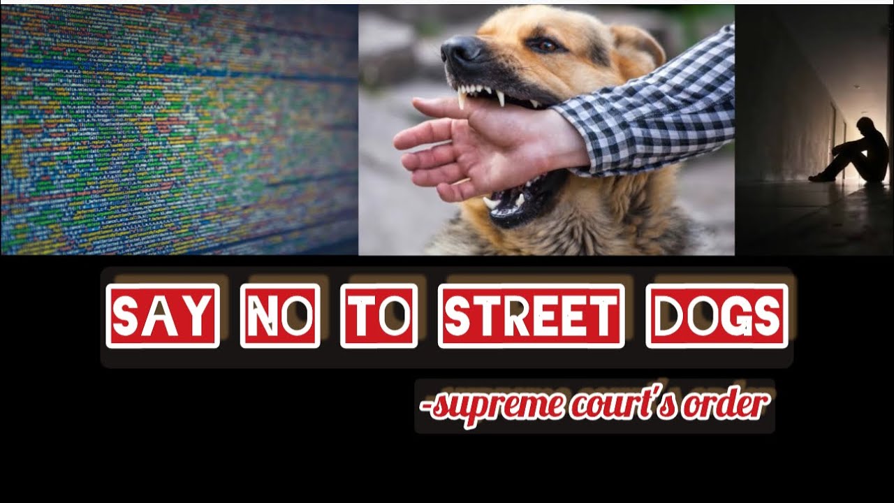 PROTEST AGAINST VERDICT.... Say No To Dogs🐶