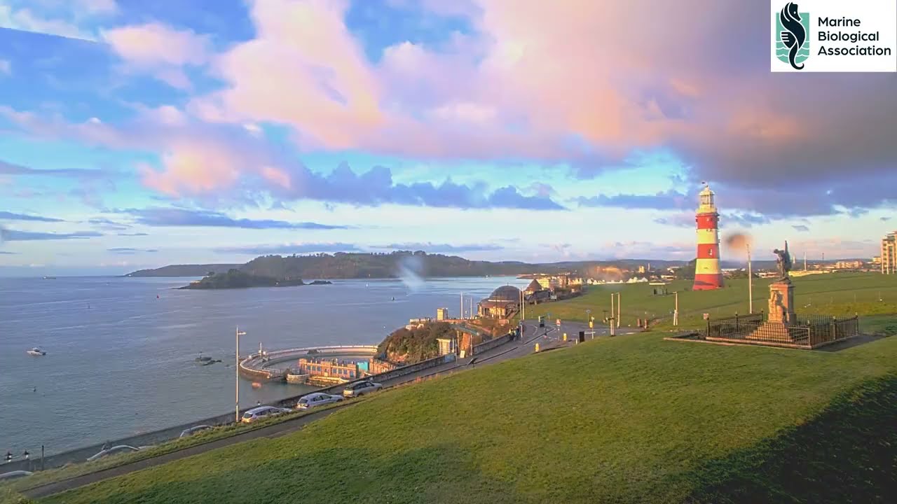 SurveillanceMap Timelapses · Smeaton's Tower Monthly Timelapse · January 2026