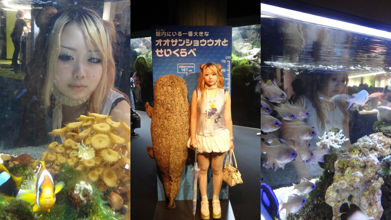 残暑˚✧₊⁎夏の終わり、ちゃまの水族館に行く日の1日VLOG