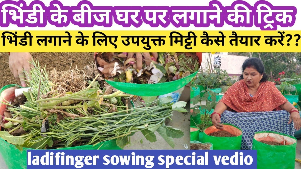 भिंडी लगाने के लिए घर पर ही lightweigh perfect almost muft की मिट्टी कैसे तैयार करें | Summerveggies