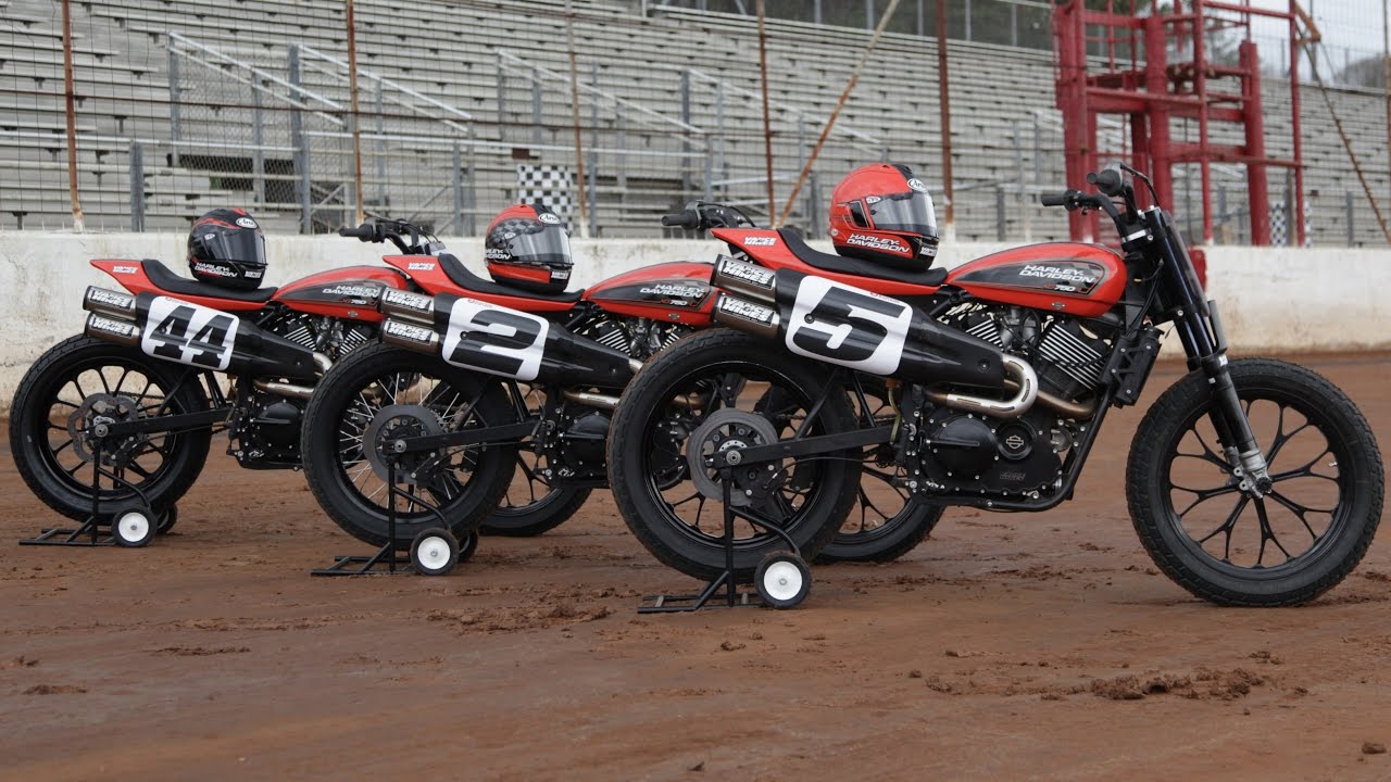 Daytona TT, Forever Flat Track | Harley-Davidson
