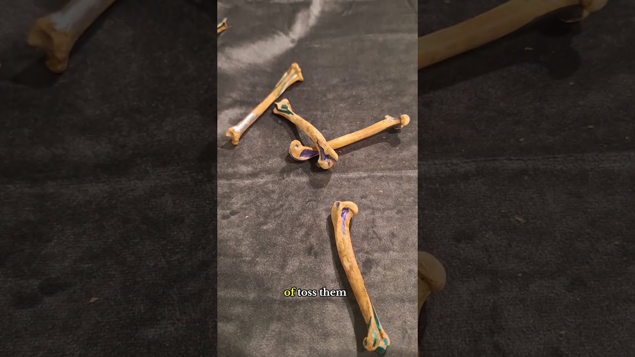Osteomancy Lesson #witchtokrefugee #witchylife #divination #osteomancy #bonedivination