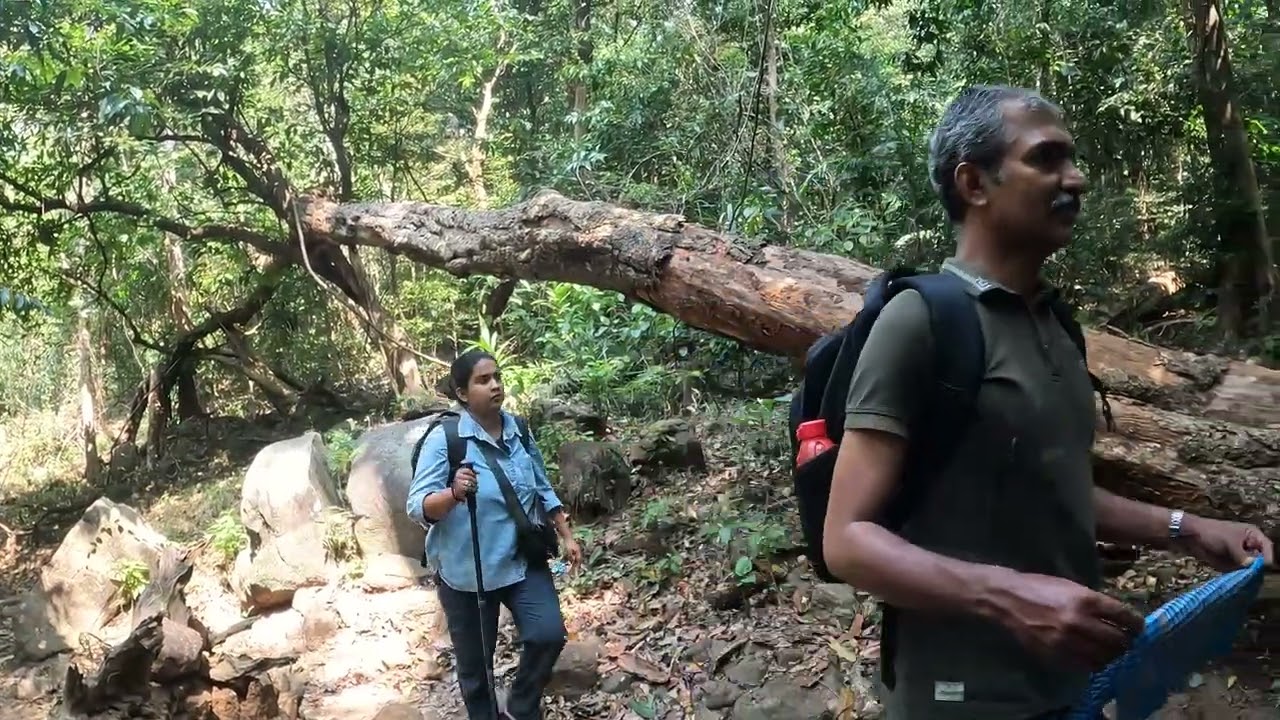 Agasthyarkoodam Trekking 2026 - Part 1(4K)