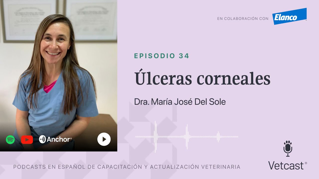 Vetcast - Dra. María José Del Sole - Úlceras Corneales