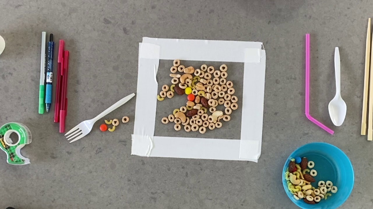 Smashhigh: Bird Beak Experiment