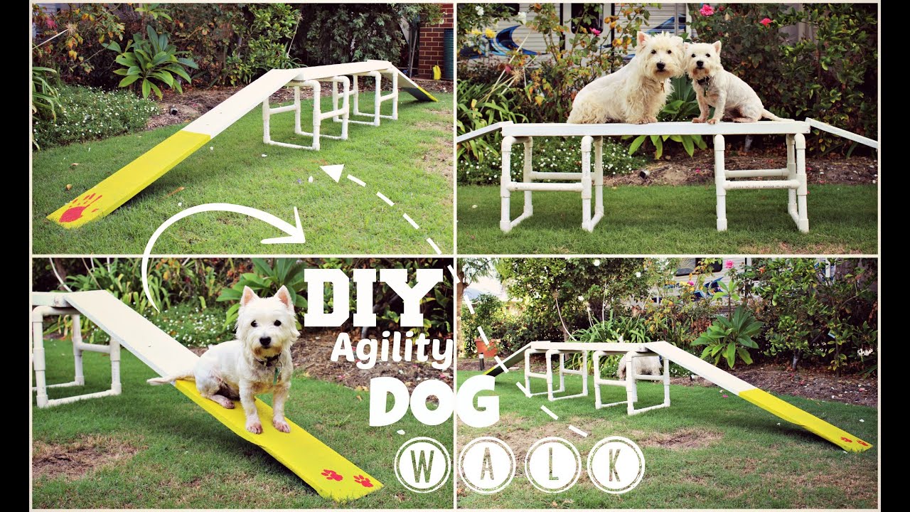 How To: DIY Agility Dog Walk | TheDogBlog
