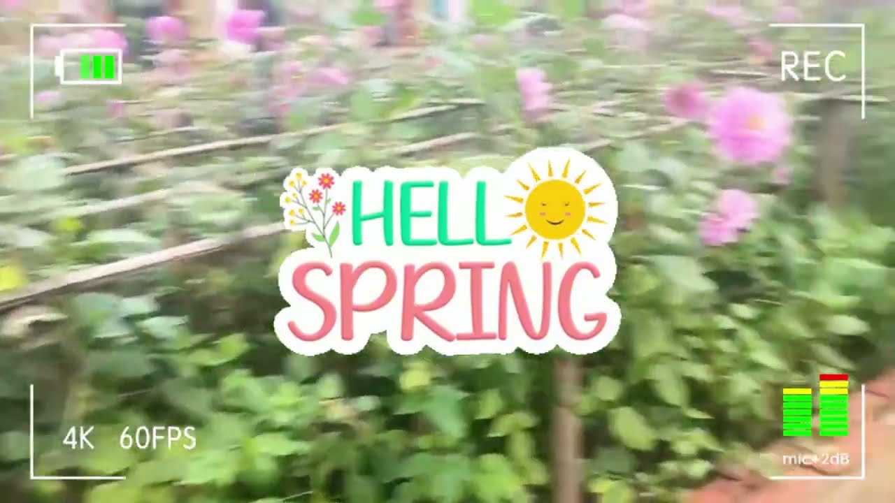Música relaxante e bonita - Música para se sentir bem e melhorar seu humor