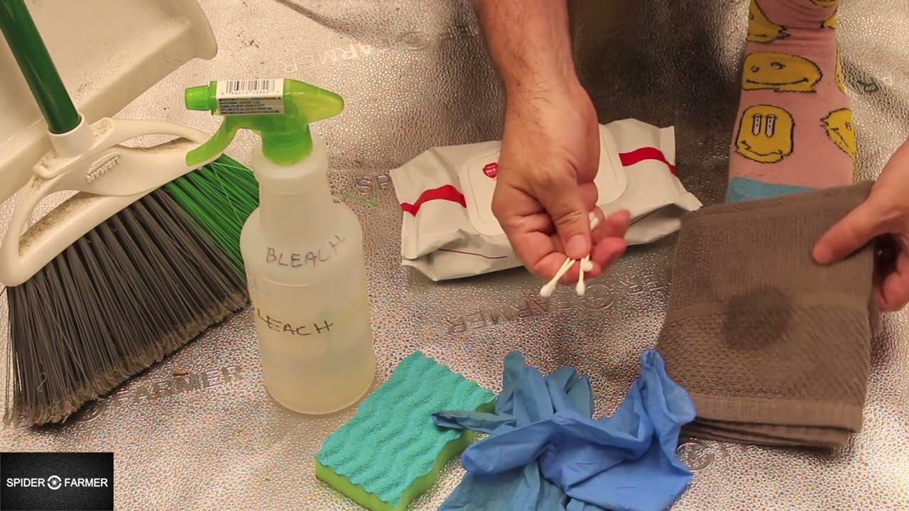 Grow Tent Cleaning Procedure for Cannabis w/ Chad Westport : Spider Farmer