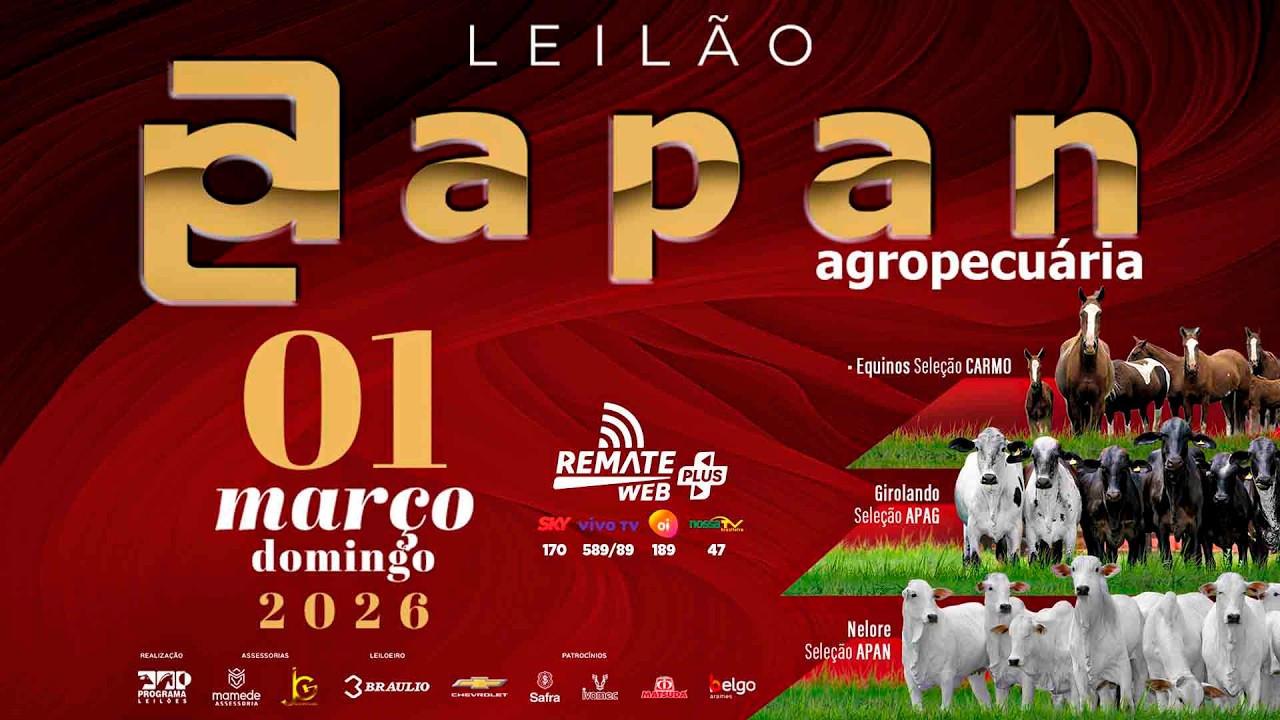 LOTE 31   APAN 15288,15713