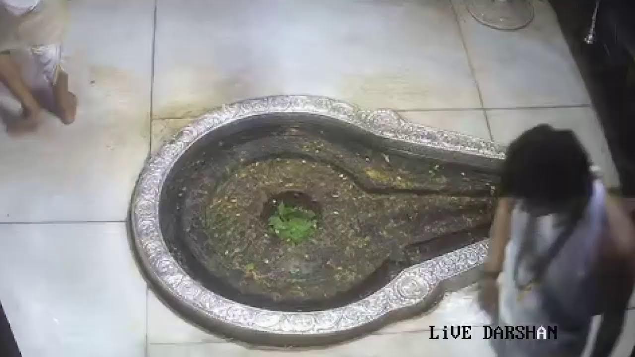 Trimbakeshwar Devsthan Trust Live Stream