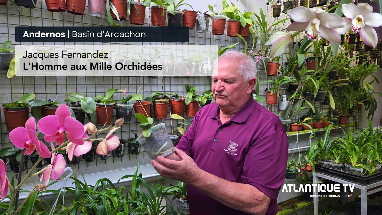 Jacques Fernandez - L'Homme aux Mille Orchidées