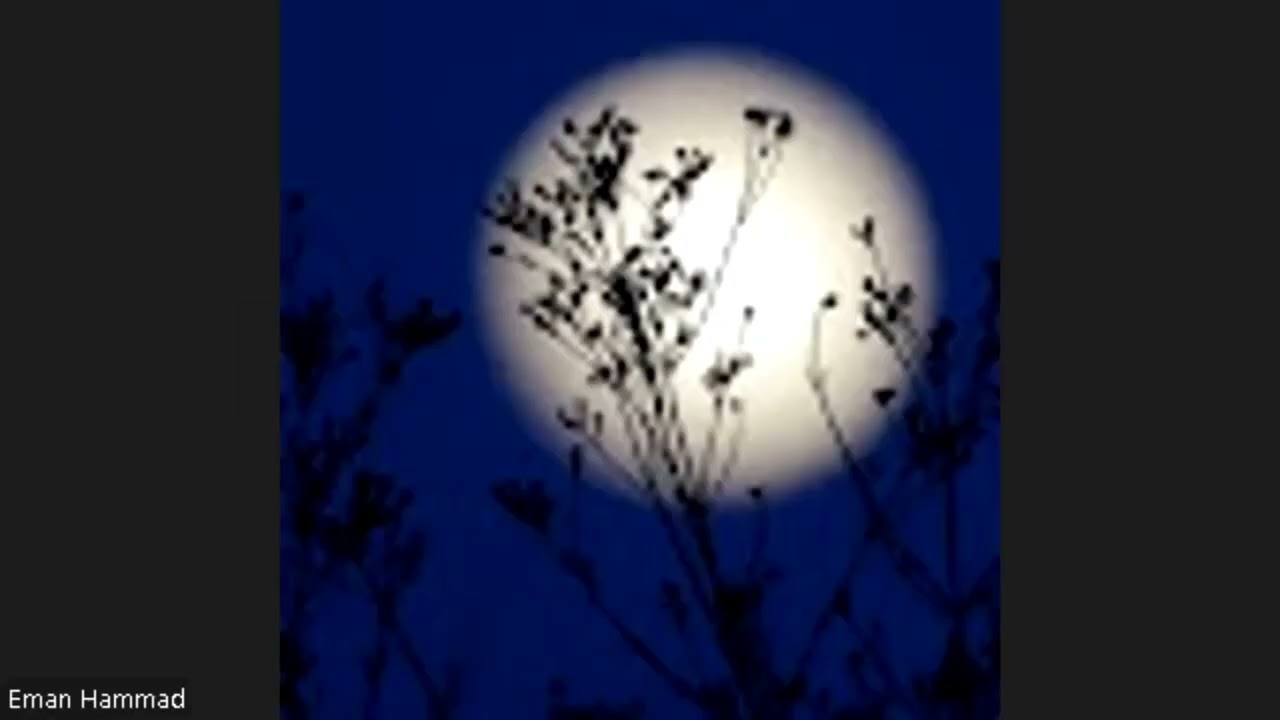 حلقات النور اختبار سورة المائدة 🎀
