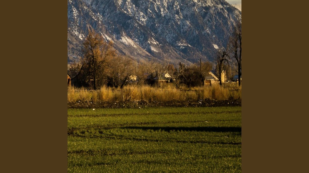 The Princess Who Wore Black