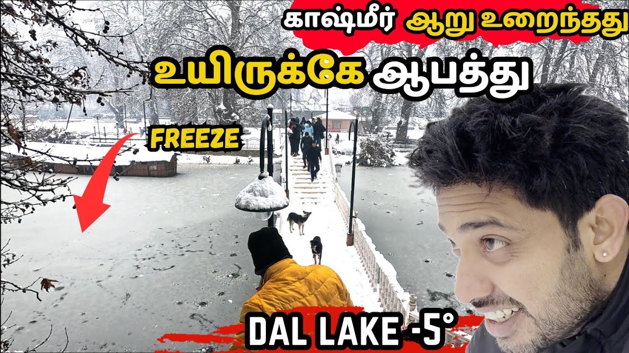 காஷ்மீர் பனிப்பொழிவு ரொம்ப அதிகமாயிடுச்சு| DAL LAKE|Heavy snow fall |@tamil tourism creations #kashmir
