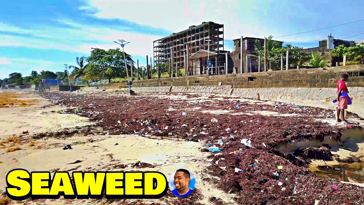 SEAWEED AT ABERDEEN BEACH 🇸🇱FREETOWN CITY - Vlog 2025 - Explore With Triple-A