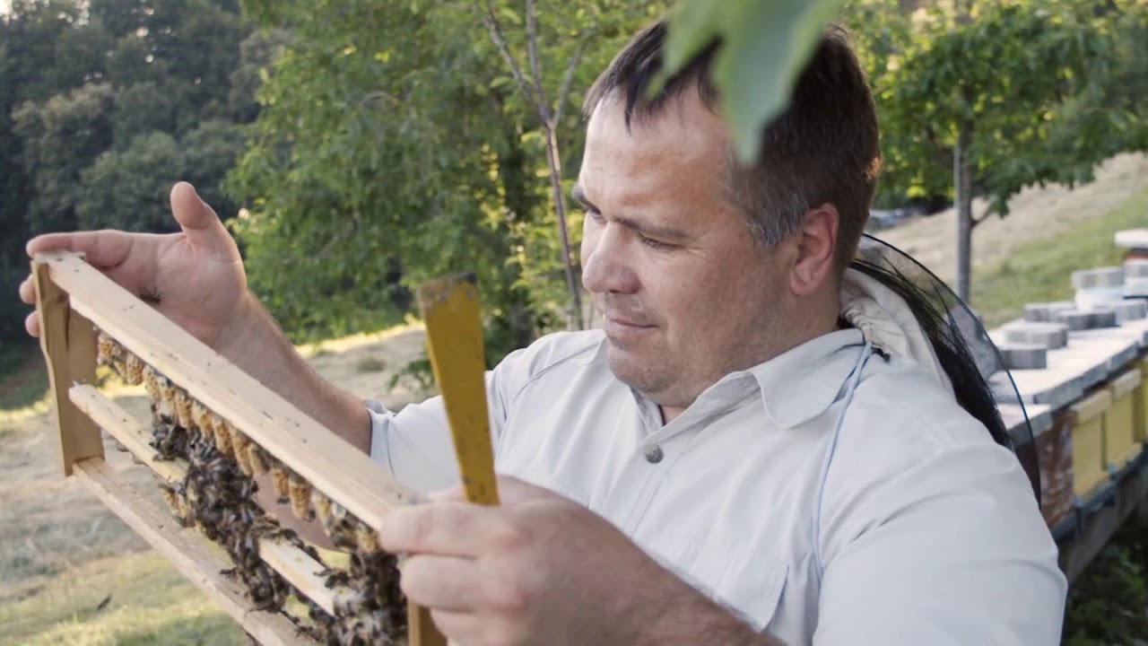 Izobraževalni film VZREJA MATIC