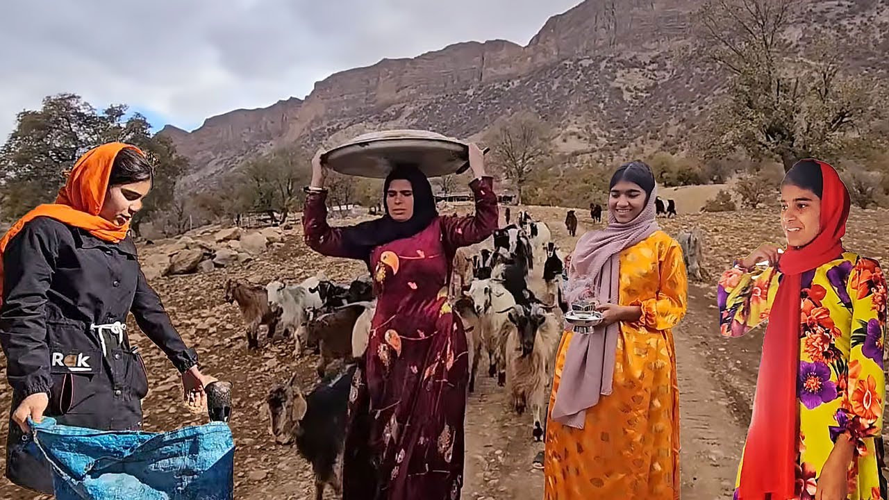 Nomadic leaders working and having fun on the Fariba's farm