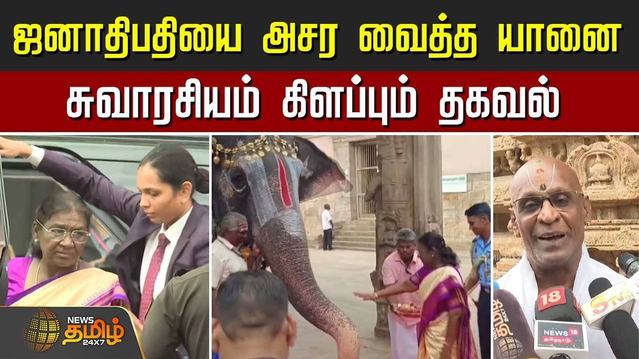 ஜனாதிபதியை அசர வைத்த யானை - சுவாரசியம் கிளப்பும் தகவல் | President Murmu | Srirangam Temple