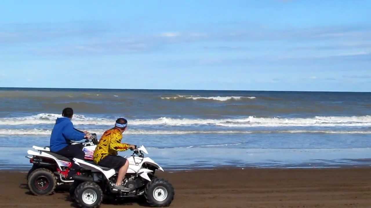 Banshee vs Tibo 150 cat