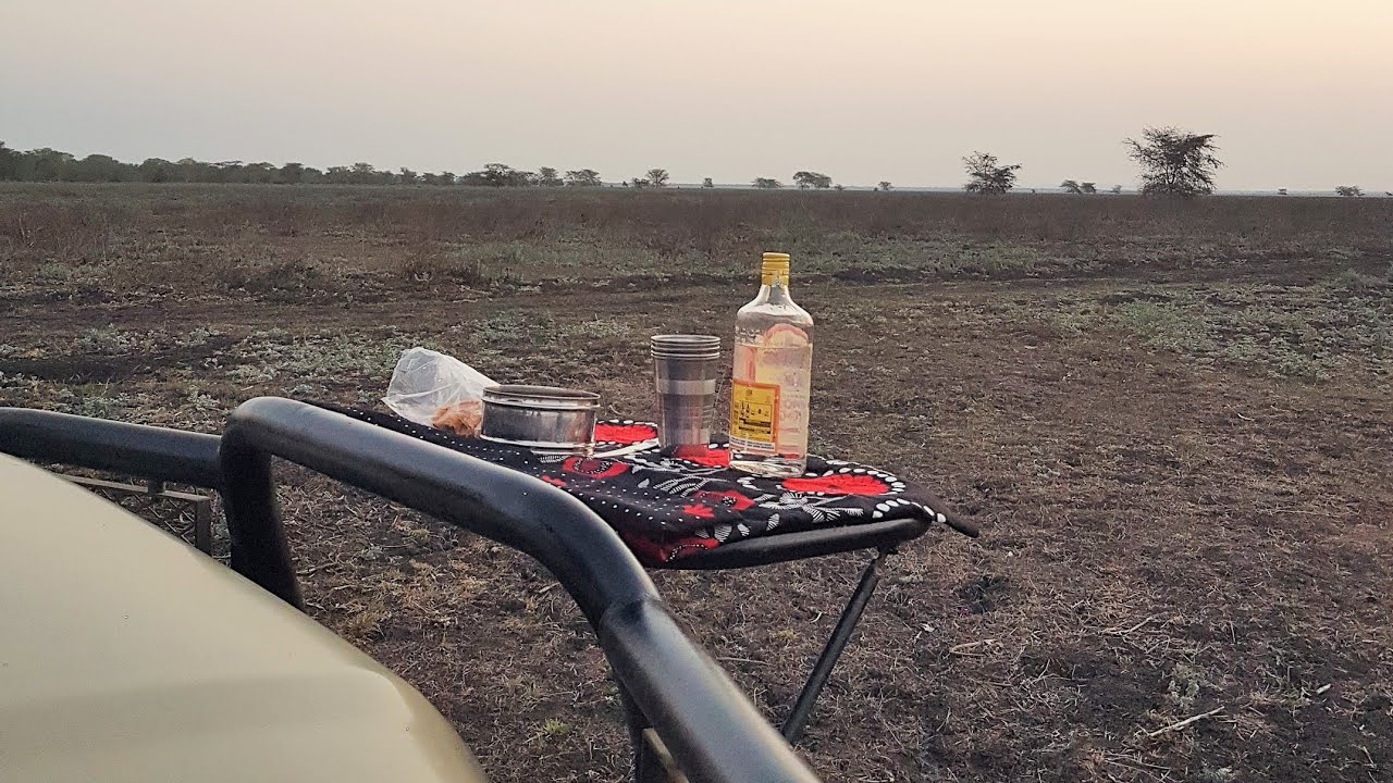 Rushing for Sundowner at Wild Camp Gorongosa | Gorongosa National Park Mozambique #gorongosa #safari
