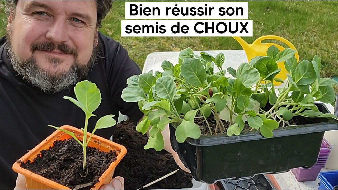 Comment réussir son semis de CHOUX  🥦 (puis le repiquage)『TUTO』