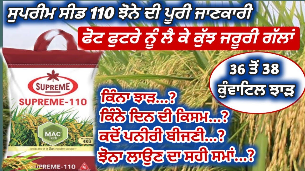 ਸੁਪਰੀਮ 110 ਦੀ ਪੂਰੀ ਜਾਣਕਾਰੀ ਫੁਟਰੇ ਨੂੰ ਲੈ ਕੇ ਕੁੱਝ ਜਰੂਰੀ ਗੱਲਾਂ  All information about Supreme 110 paddy