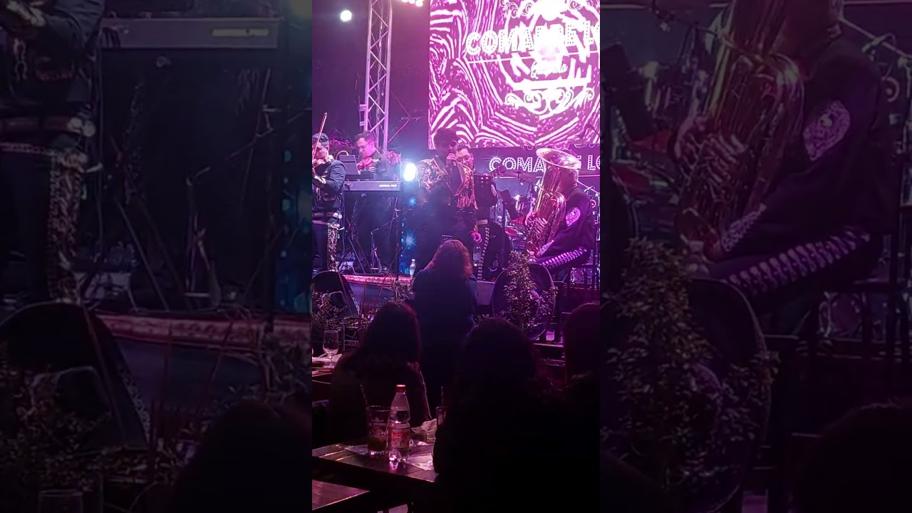 VICENTE MEJIAS OFICIAL:Tributo  Restorant Comadre lola 20/12/25