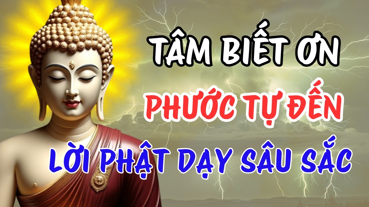 Muốn Đổi Vận Mệnh Hãy Học Cách Biết Ơn – Lời Phật Dạy Sâu Sắc | Tâm Tri Ân Mở Cửa Phước Báu