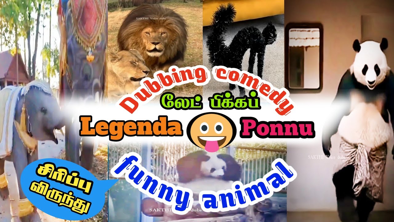 அப்பவே சொன்னாரு ஜோசியக்காரு லேட்டா பிக்கப் ஆனாலும் லெஜெண்டா பொண்ணு அமையுமுனு#funnyvideos#animaldub