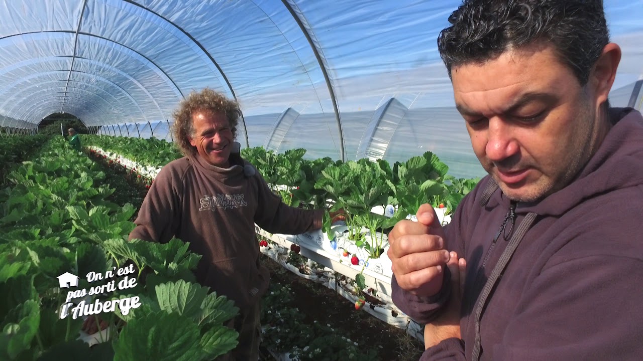OEPSA S2 Ep 12 - Les fraises