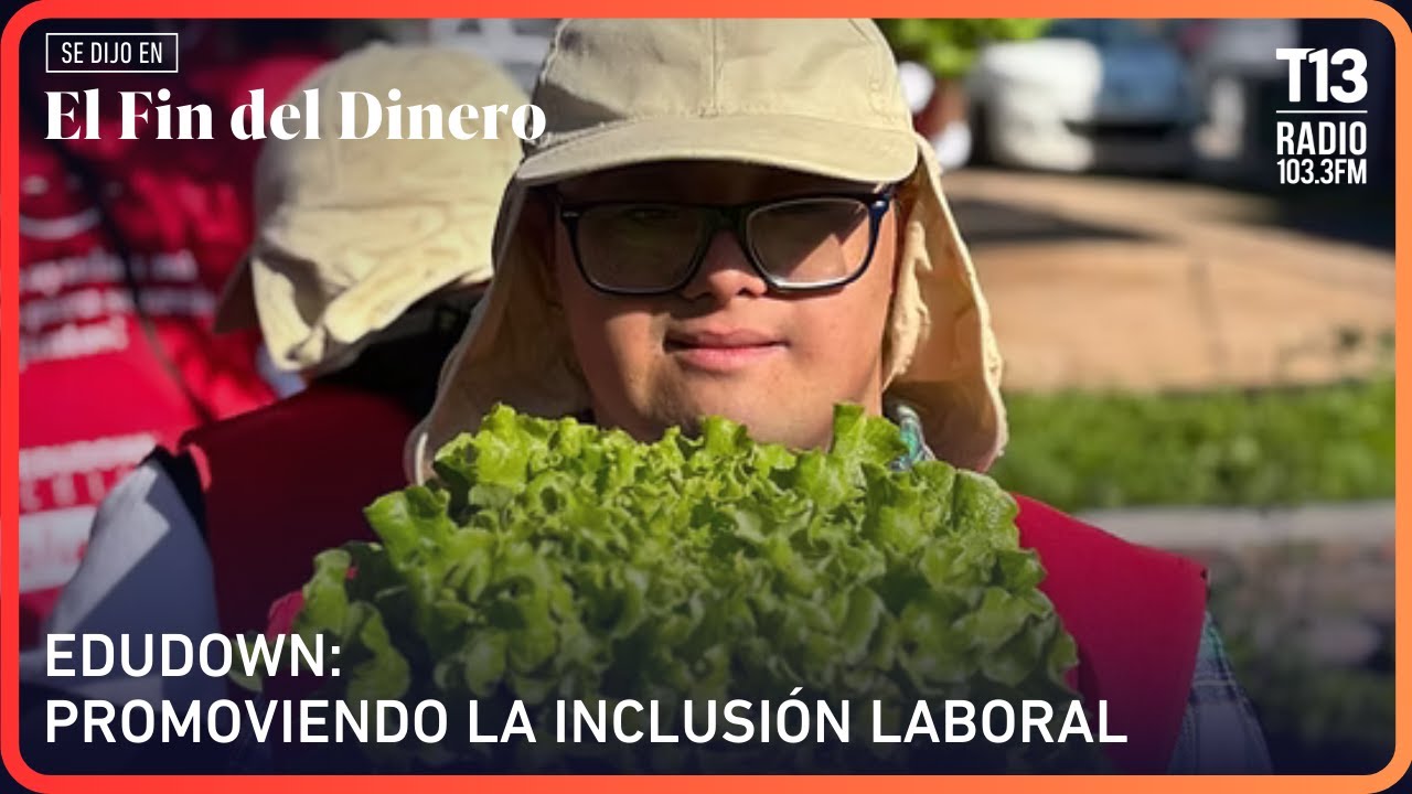 Edudown: promoviendo la inclusión laboral | El Fin del Dinero
