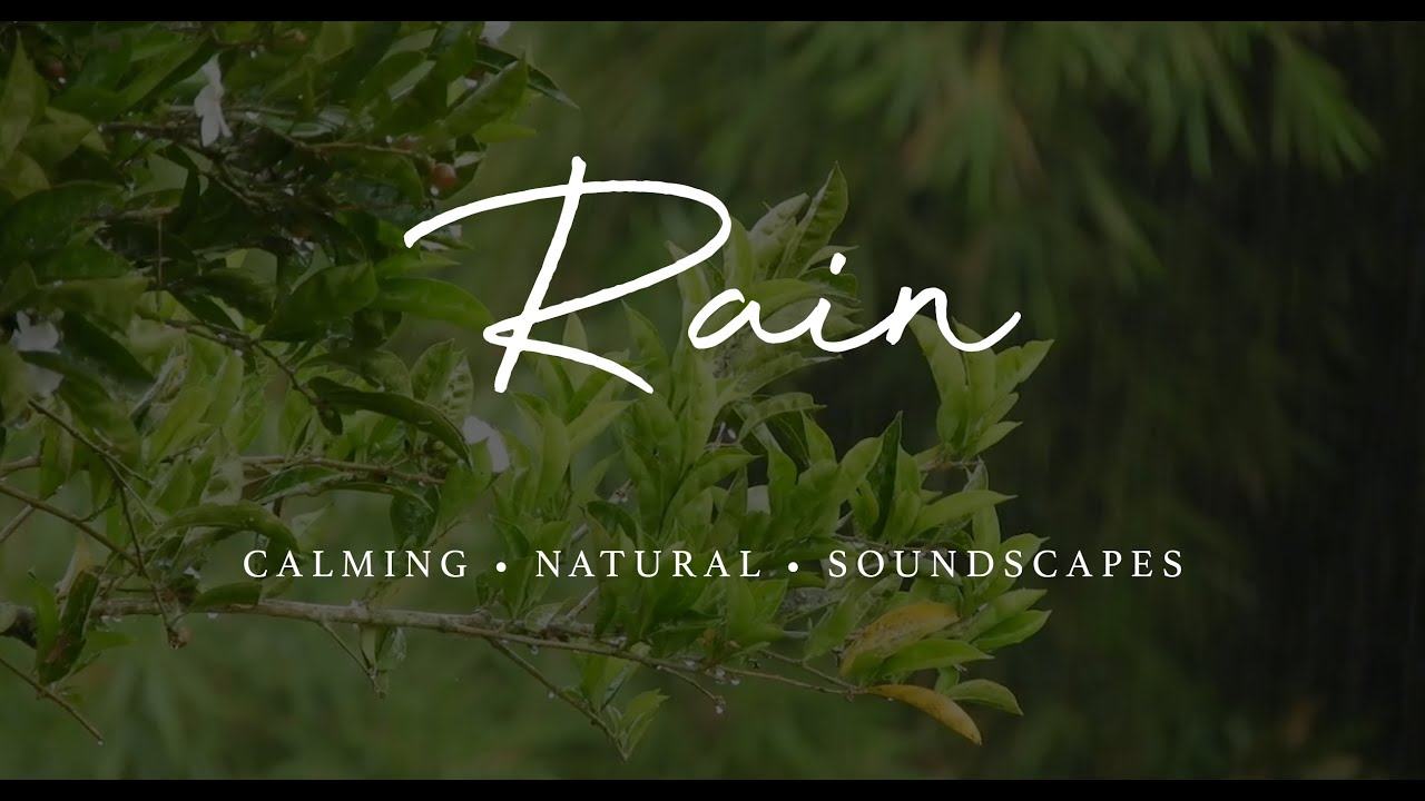 Calming, Natural, Soundscapes - Rain. Relaxing, Focus, Deep Sleep, Nature, Tranquil, Serene (8 Hour)