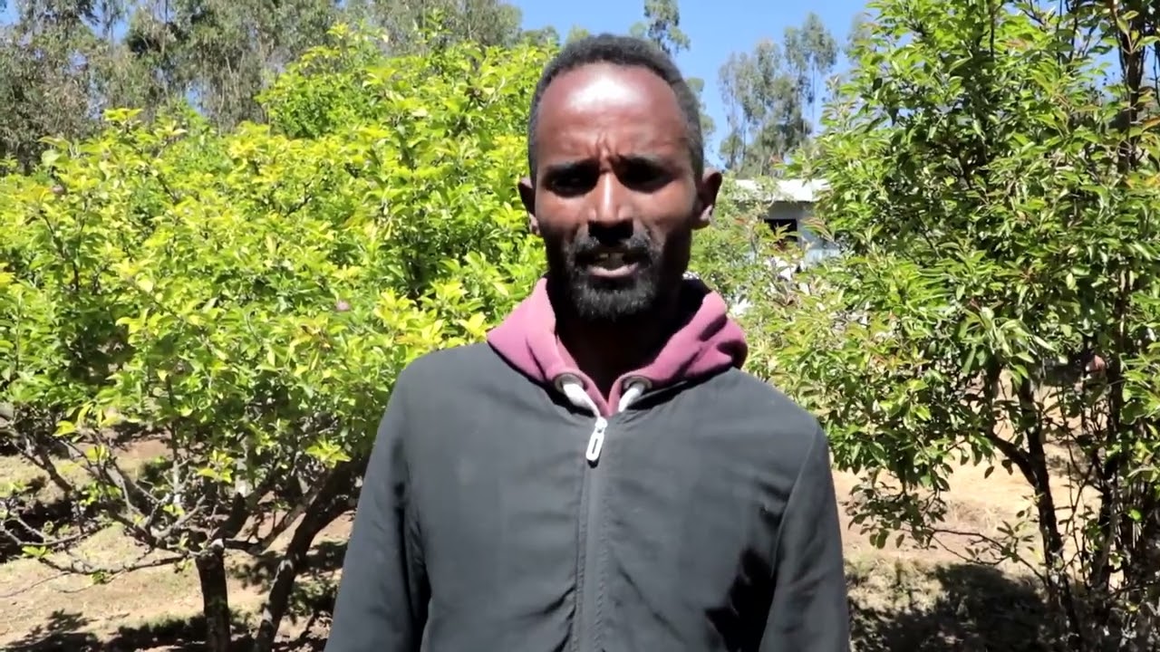 አቶ ጌጤነህ  ከሰሜን ጎንደር ዞን ግብርና መምሪያ በደባርቅ ወረዳ በሚሊገብሳ ቀበሌ በሞዴል መንደር ምረቃ መርሃ ግብር ተገኝተው ተናገሩት