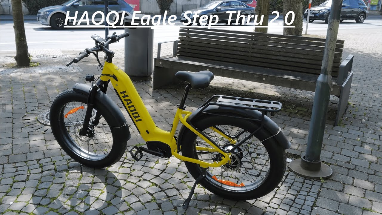 HAOQI Eagle Step Thru 2.0  Das Biest mit Stil!
