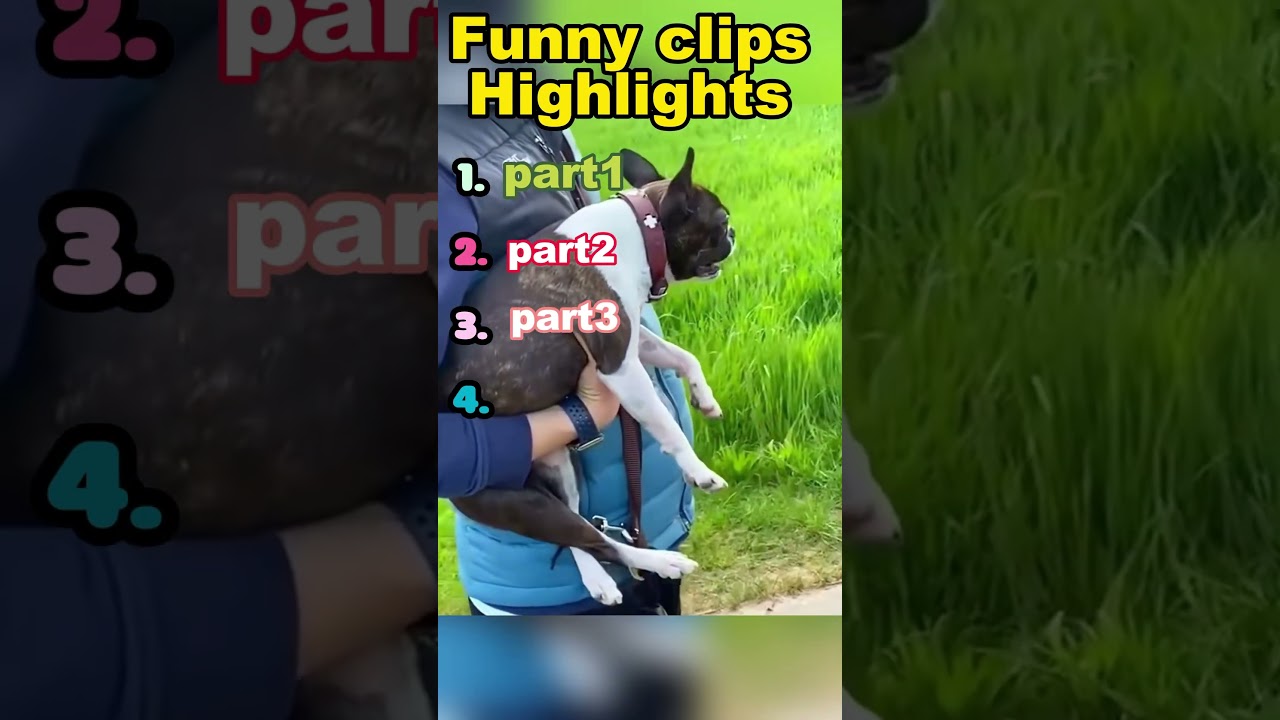 Funny Clips                       Highlights Compilation