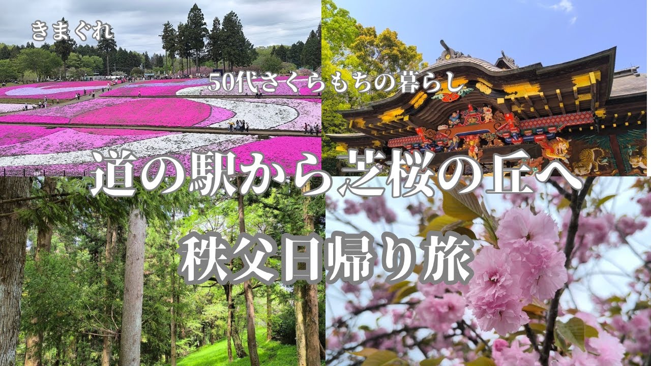 きまぐれ50代さくらもちの暮らし＃３【秩父芝桜】【秩父神社】/目を癒しにやってきた