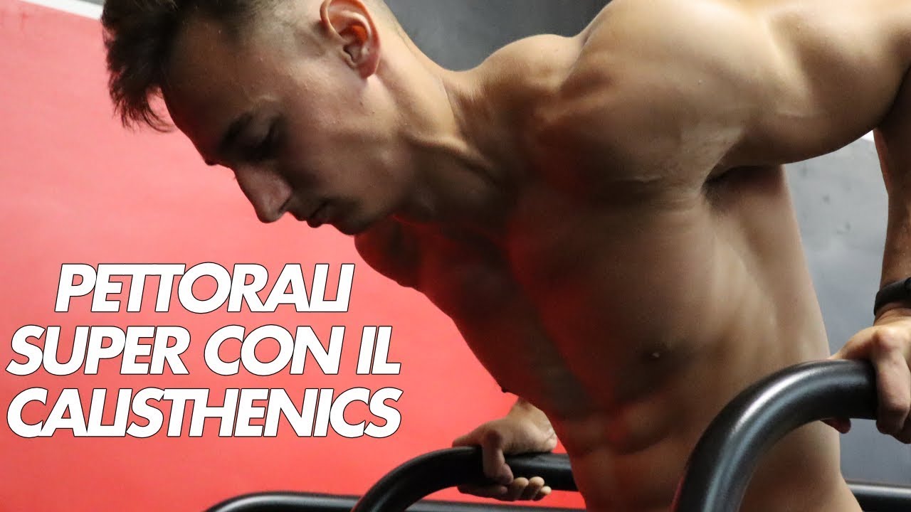 SCHEDA PETTORALI ESTREMI CON IL CALISTHENICS w/Lucian Stanut