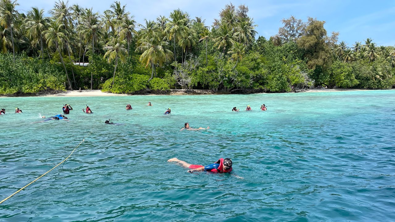 Half Day Trip From Maafushi | Triton Beach