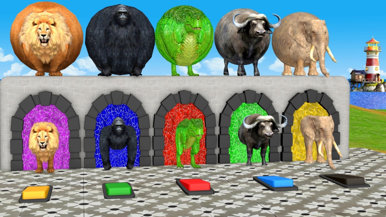 Long Slide Game With Cow Elephant Gorilla Hippopotamus Tiger - 3d Animal Game - Funny 3d Animals