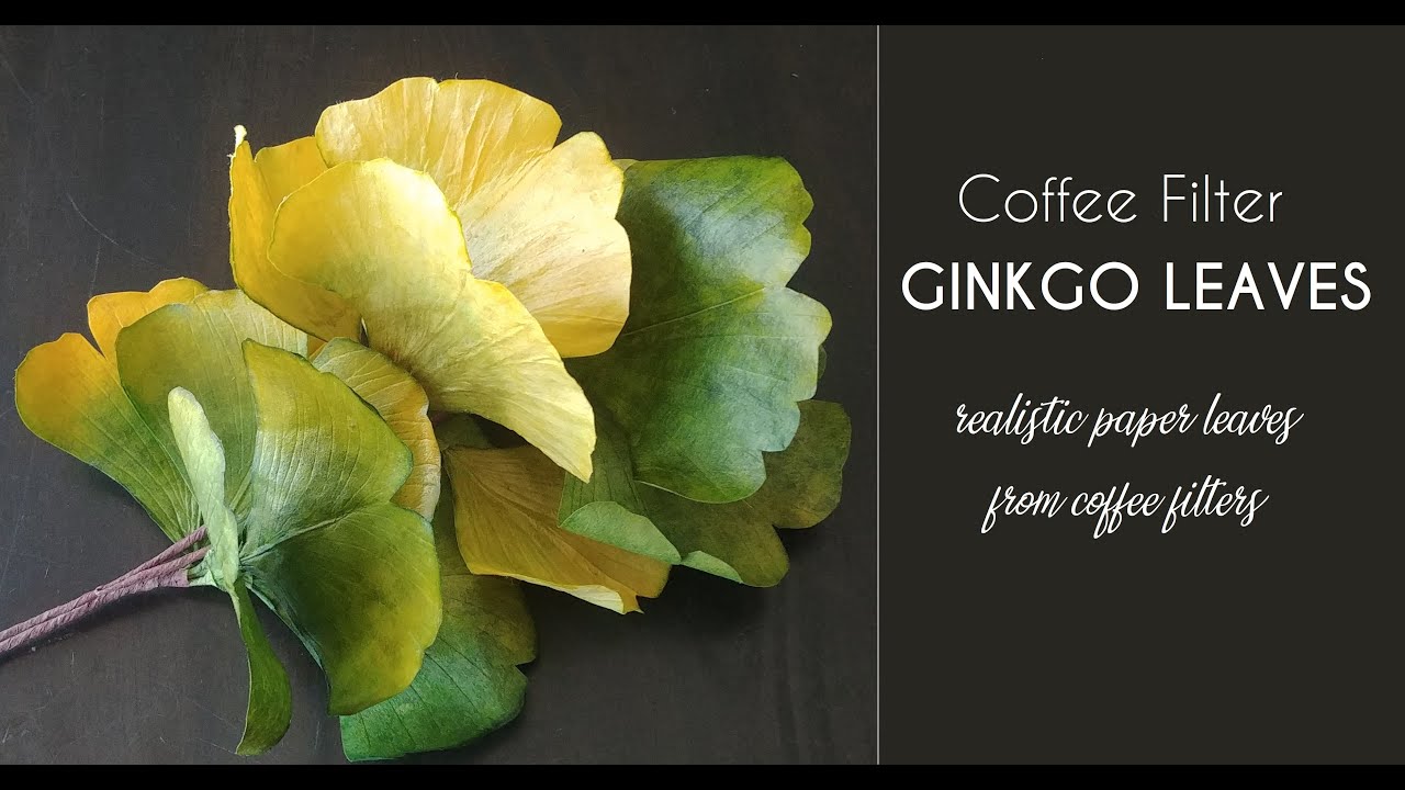 Coffee Filter Ginkgo Leaves