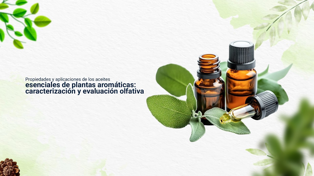 Propiedades y aplicaciones de los aceites esenciales de plantas aromáticas